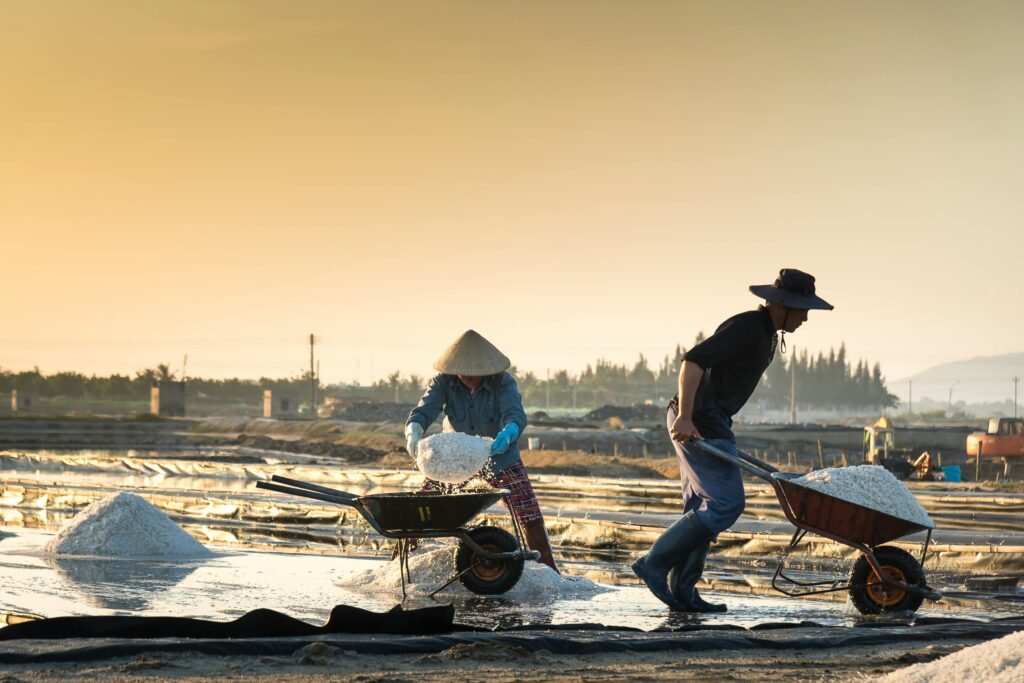 Salt farmers harvesting salt at sunrise in rural landscape with tools and wheelbarrows.